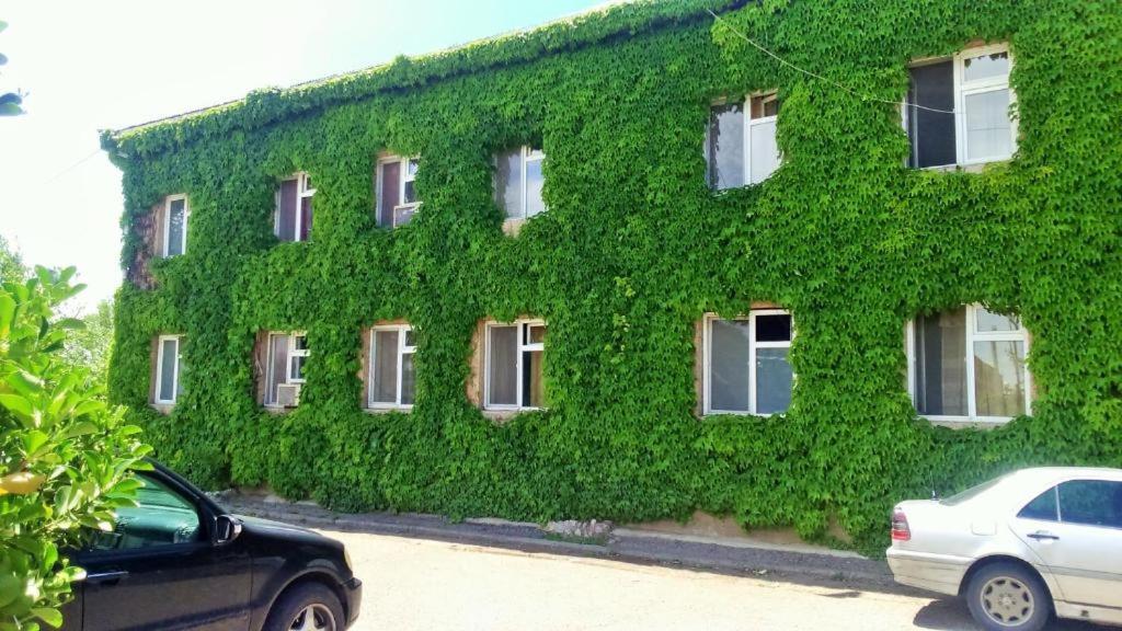 Hotel Lilo Near Airport Tbilisi Exteriér fotografie